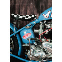 Książka Born-Free - Motorcycle Show
