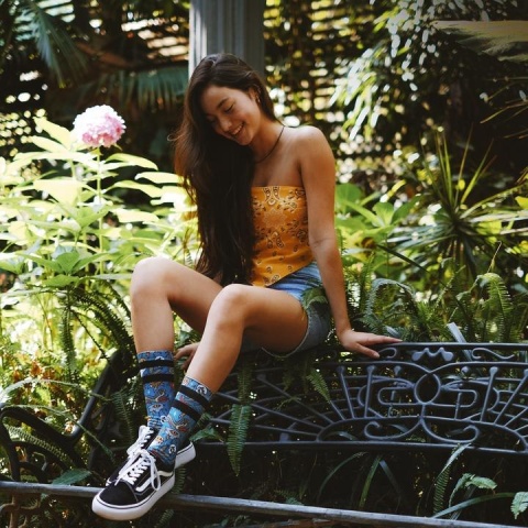 Skarpety American Socks Signature Low Life
