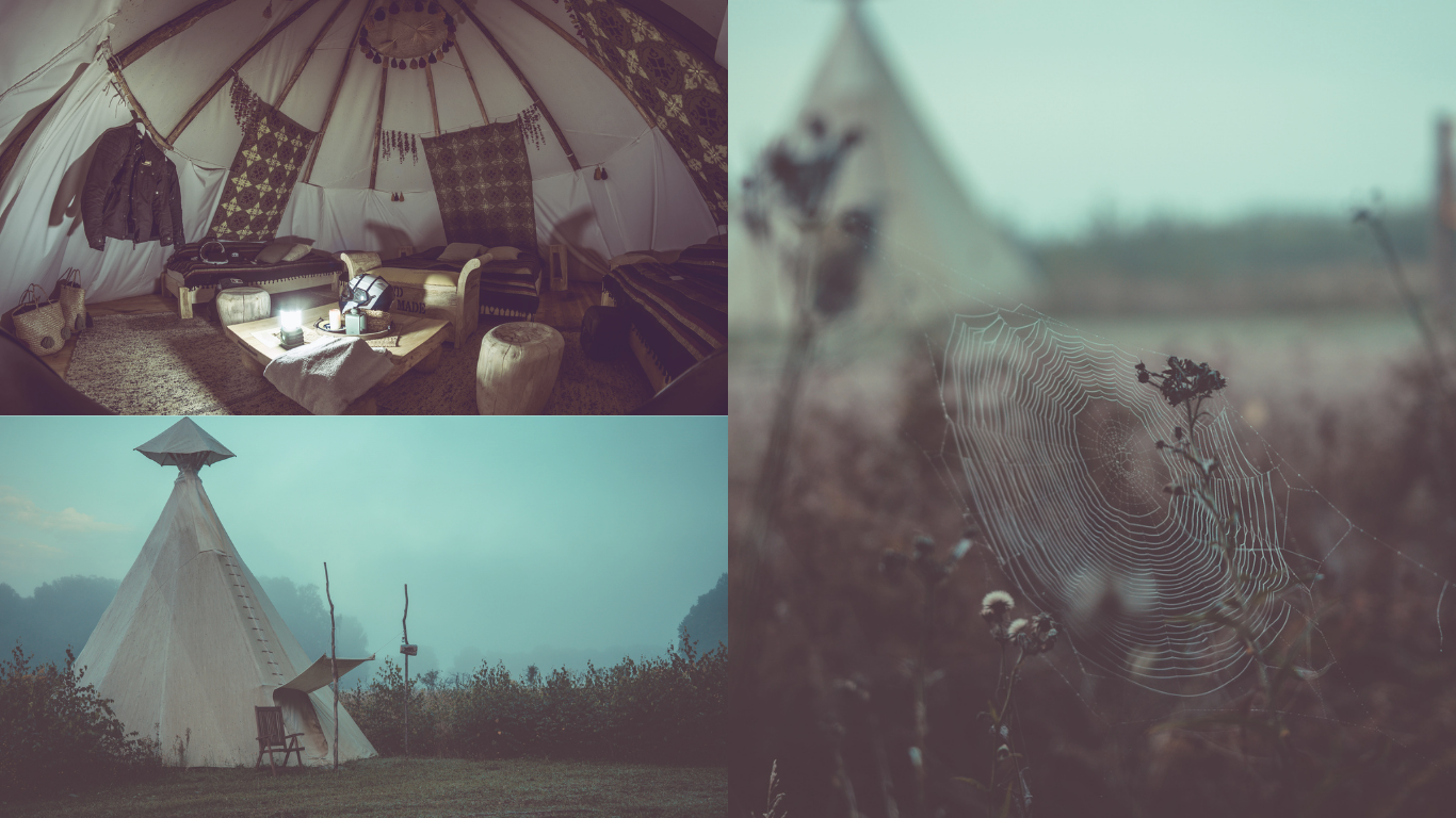 BUQI CAMP