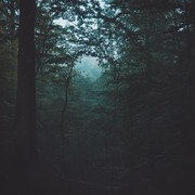 DSC09885