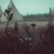 DSC09916