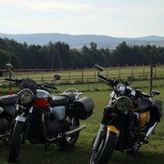 resize-IMG-9474